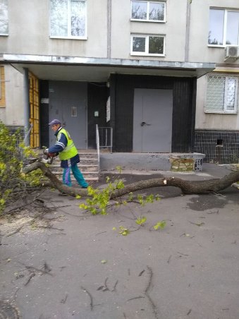 Комунальники усувають наслідки негоди у Харкові